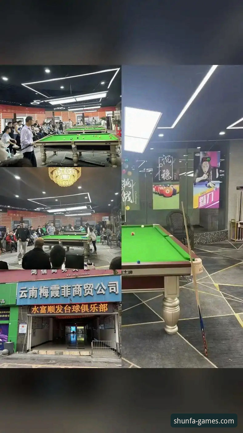 顺发娱乐官方平台 vs 其他平台：技术评测与功能对比分析